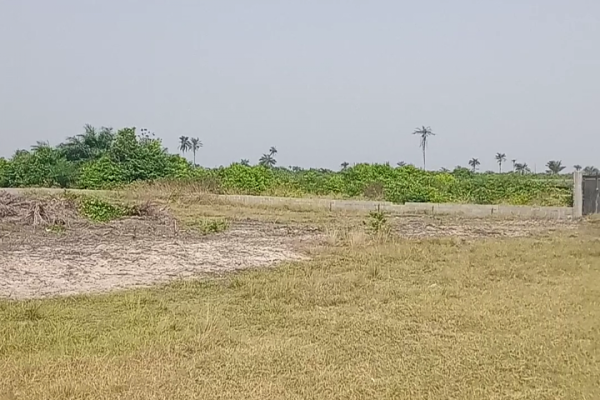 1 Acre of Land