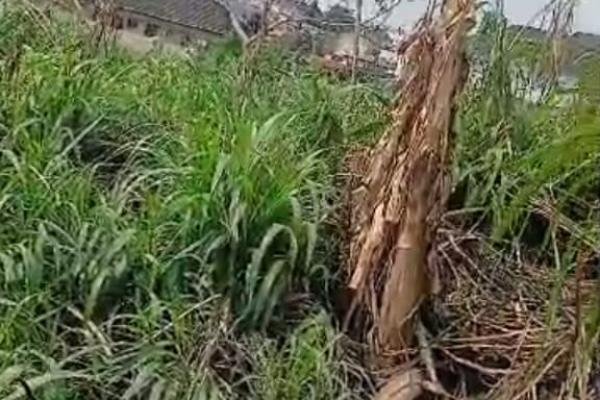 Land for sale
